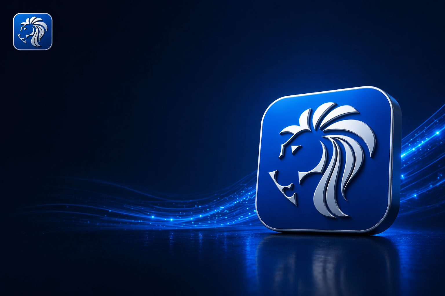 MDJ branding